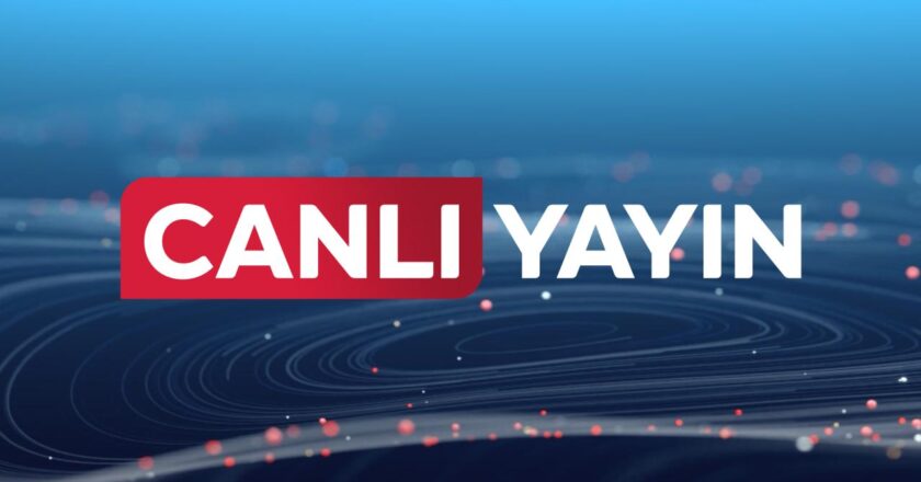 Erdoğan ve Steinmeier ortak bir basın toplantısında konuşur
