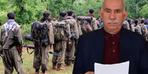 Öcalan'ın çağrısından sonra dikkat çeken anket