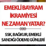 2025 artışı için emeklilik partisi bonusun ödeme tarihi (tahsis numarasına göre maaş günleri) | | 2025 SSK, Bağkur, Emeklilik Festivali’nin emeklilik bonusu hastane olacağı zaman, ne kadara mal oldu, kaç ay verilecek? Ödeme tarihi ve günlerinde gözler SSI!