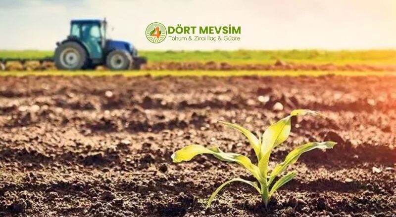 Dört Mevsim Tarım ile Verimli Üretim İçin En İyi Fide Çözümleri
