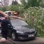 Diyarbakır ve Batman'da fırtına; Araçlarda çatılar ve devrilmiş ağaçlar