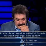 Karaciğerin ağırlığı nedir? Hangi organ daha ağır? Kalp, pankreas, karaciğer, beyin