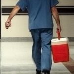 Büyük Ulusal Meclis Türkçe'de kabul edildi: Organ bağış süreçlerinde dönüşüm başlıyor! Organ bağış dönemi e-devlet aracılığıyla geliyor: bağışçıların akrabalara öncelik verecek …