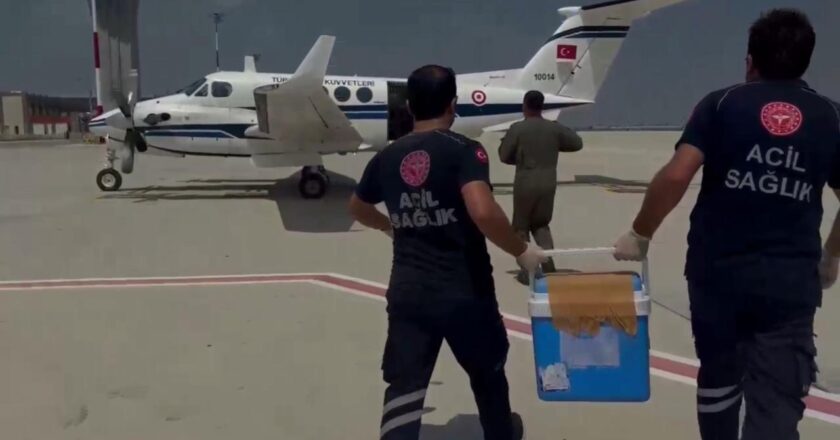 Beyin ölümü alan gençlerin organları 2 kişi için umut haline geldi