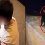 Kabile üyesi trafikte tartıştığı kişiye vurdu … Basın bülteninin serbest bırakılması bir tepki aldı! İtirazdan sonra tutuklandı