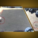 İlk Ukraynalı göçmen, sonra Charlie Kirk … şimdiki zaman neredeyse vahşet: başını kesti, başını yuvarladı, asfalt üzerine yuvarladı ve çöpe attı: sebep açıktı!