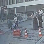 Böcek ailesiyle ilgili soruşturmada yeni görüntüler gün yüzüne çıktı