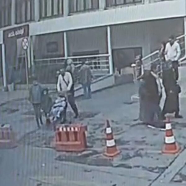 Böcek ailesiyle ilgili soruşturmada yeni görüntüler gün yüzüne çıktı